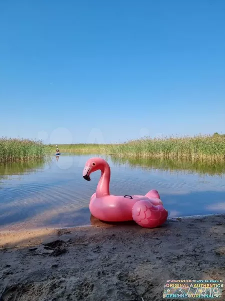 Дом 53 м2 на участке 60 сот.