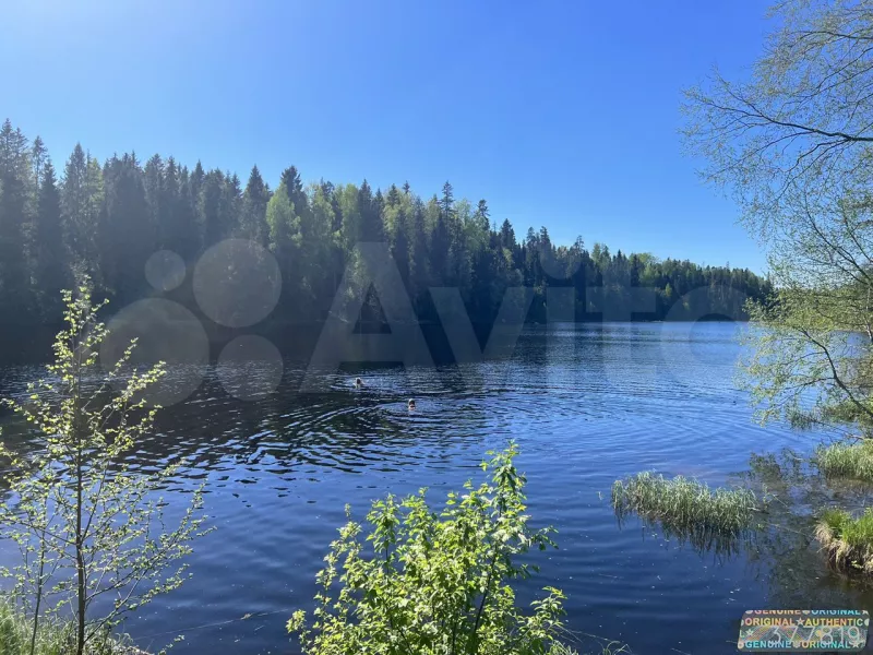 Дом 54 м2 на участке 7 сот.